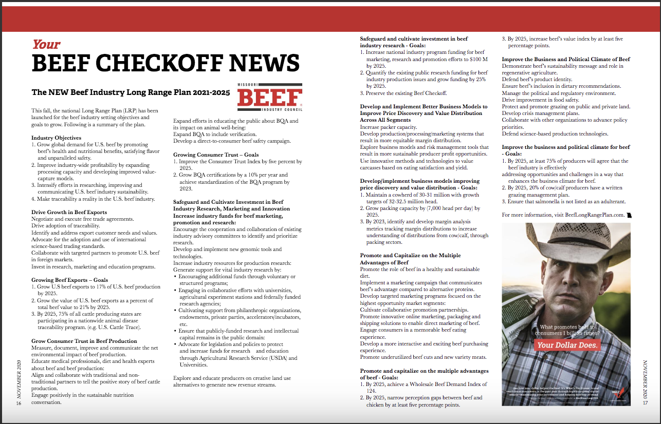 Beef Checkoff News November 2020